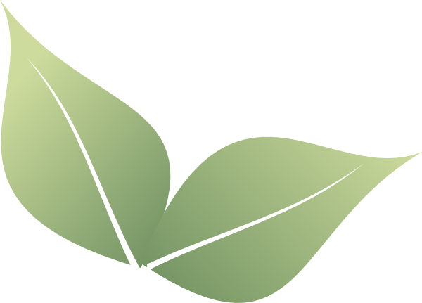 Two Leaf Clipart (600x431)