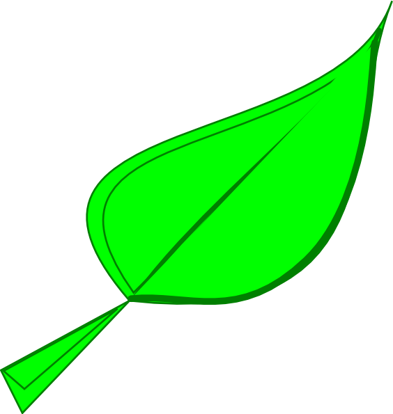 Green Leaf Clip Art - Green Leaf Clip Art (564x595)