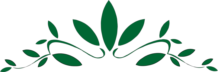 Fsp Standard License - Poster On Father's Day (722x240)