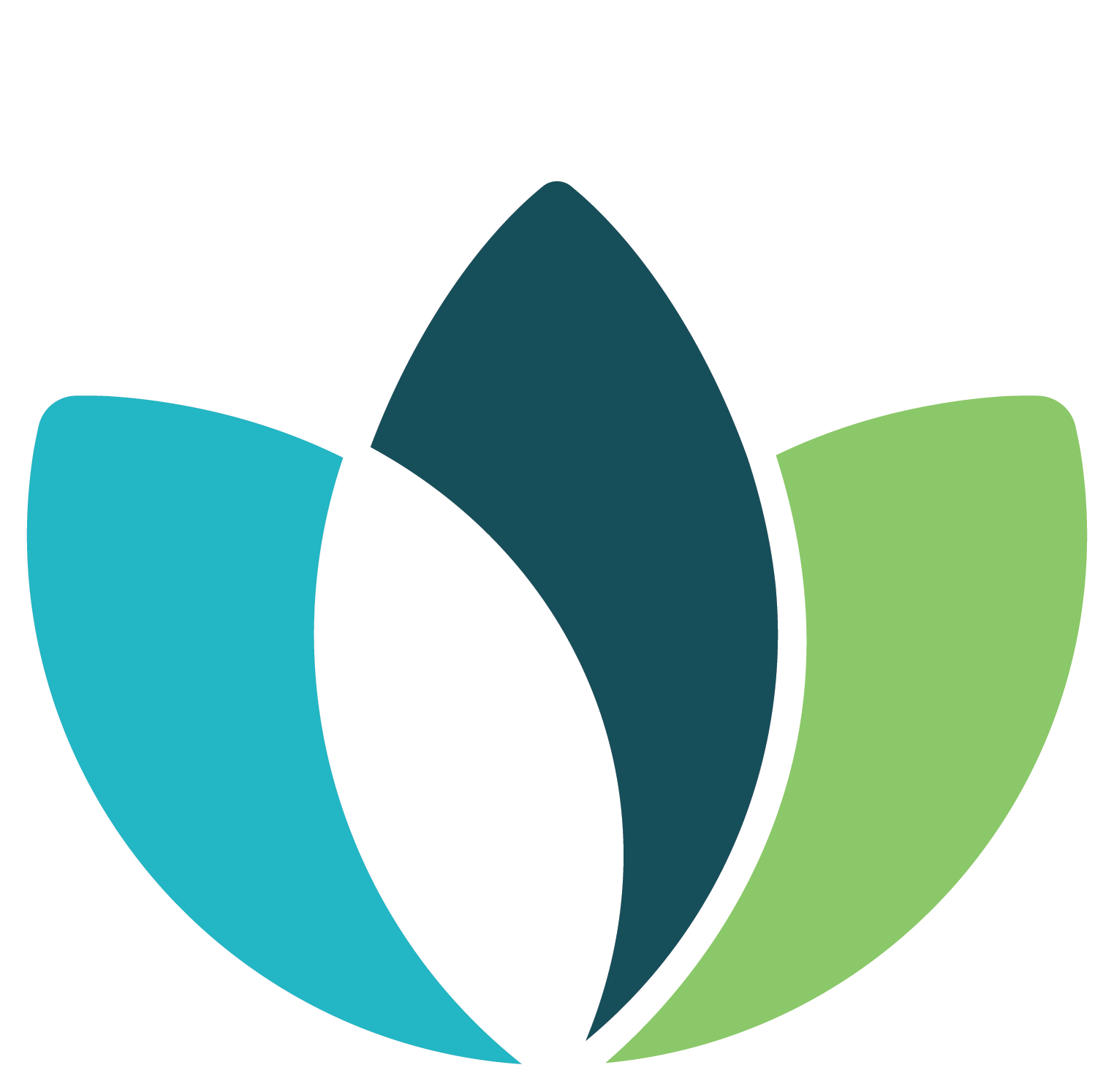 Color Acsf Logo With White Border - White Color Logo Png (1524x1494)