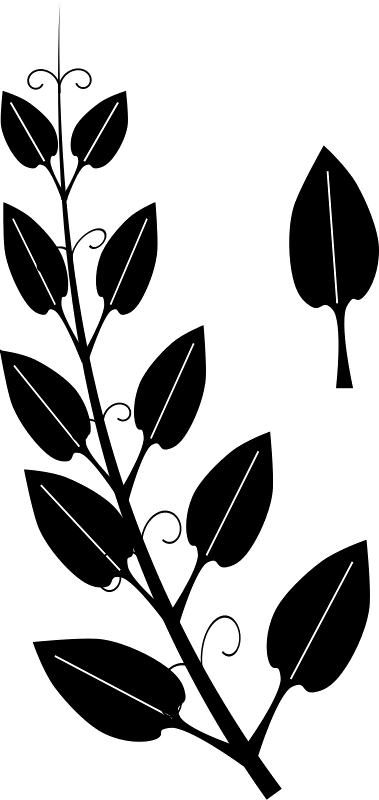 Vine Tendril Leaf Ivy Clip Art - Tendril (379x800)