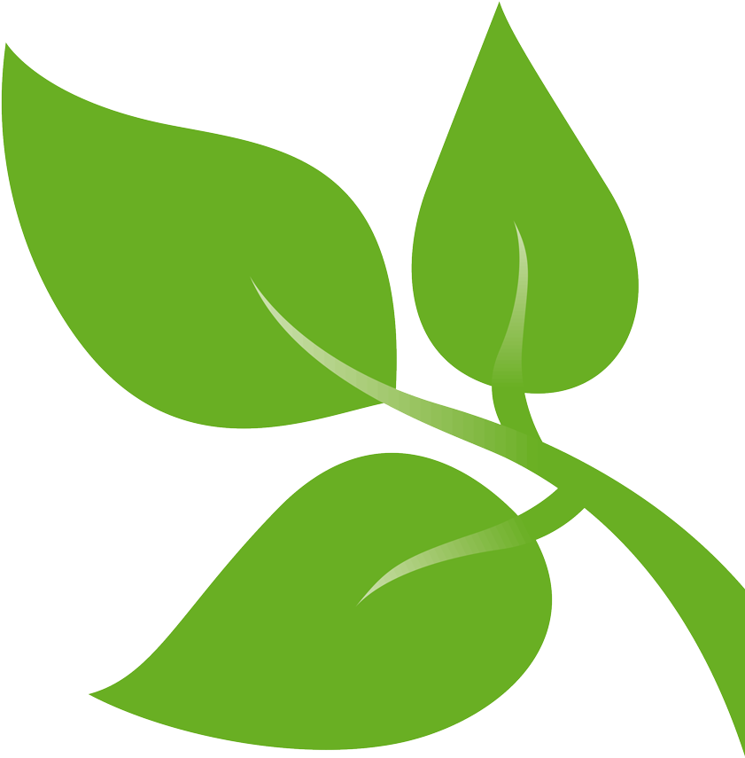 Greens Leaf Films Set Design - Green Leaves Design Png (1000x1000)