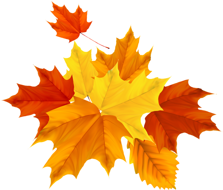 Clip Artthanksgivingfall Seasonthanksgiving - Clip Art (800x693)