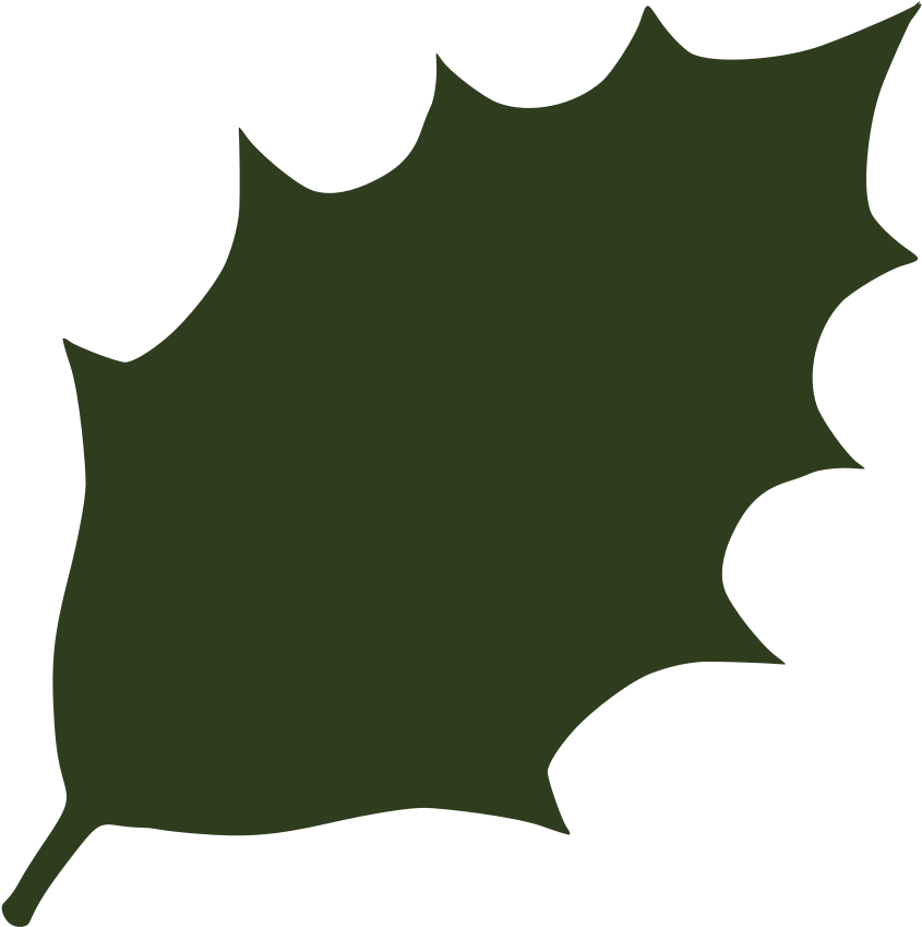 Green Leaf 06 Png Clip Arts - Dark Green Leaf Png (900x900)