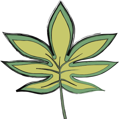 Tropical Leaves Design - Illustration (550x550)