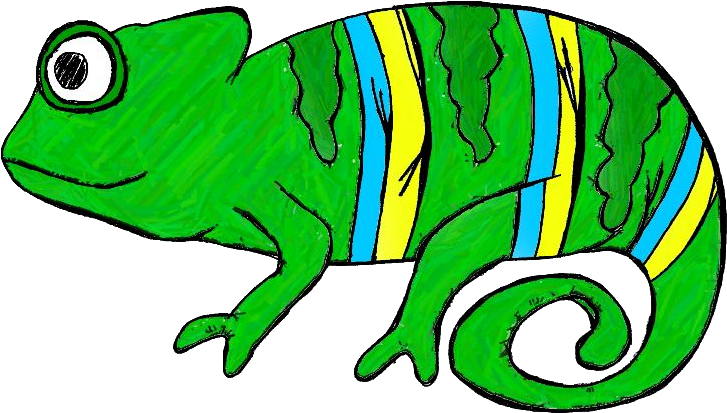 Rainforest - Clip Art (800x439)