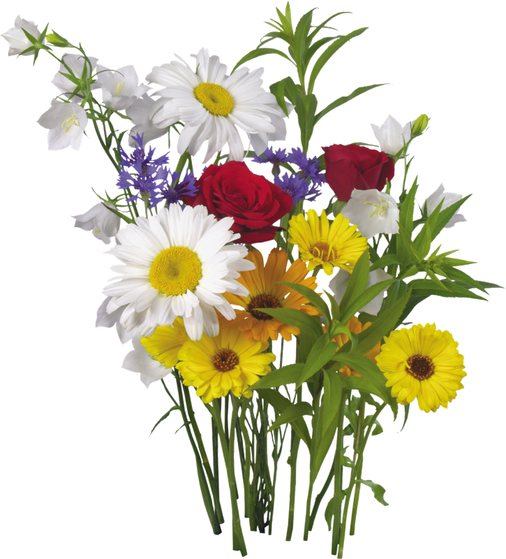 Imágenes Para Photoscape De Flores Y Plantas - Flores Png Para Photoscape (725x800)