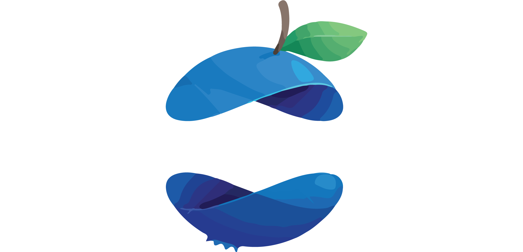 Blueberry Logos (2184x1032)