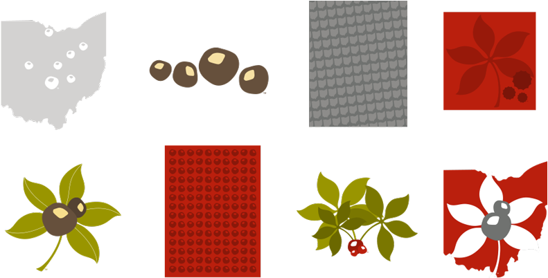 28 Collection Of Ohio State Buckeyes Clipart - Buckeye Leaf And Nut (950x411)