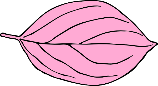 Light Pink Oval Leaf Clip Art - Oval Leaf (600x327)