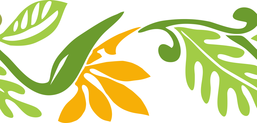 Flower Euclidean Vector Leaf Clip Art - Flower Euclidean Vector Leaf Clip Art (900x432)