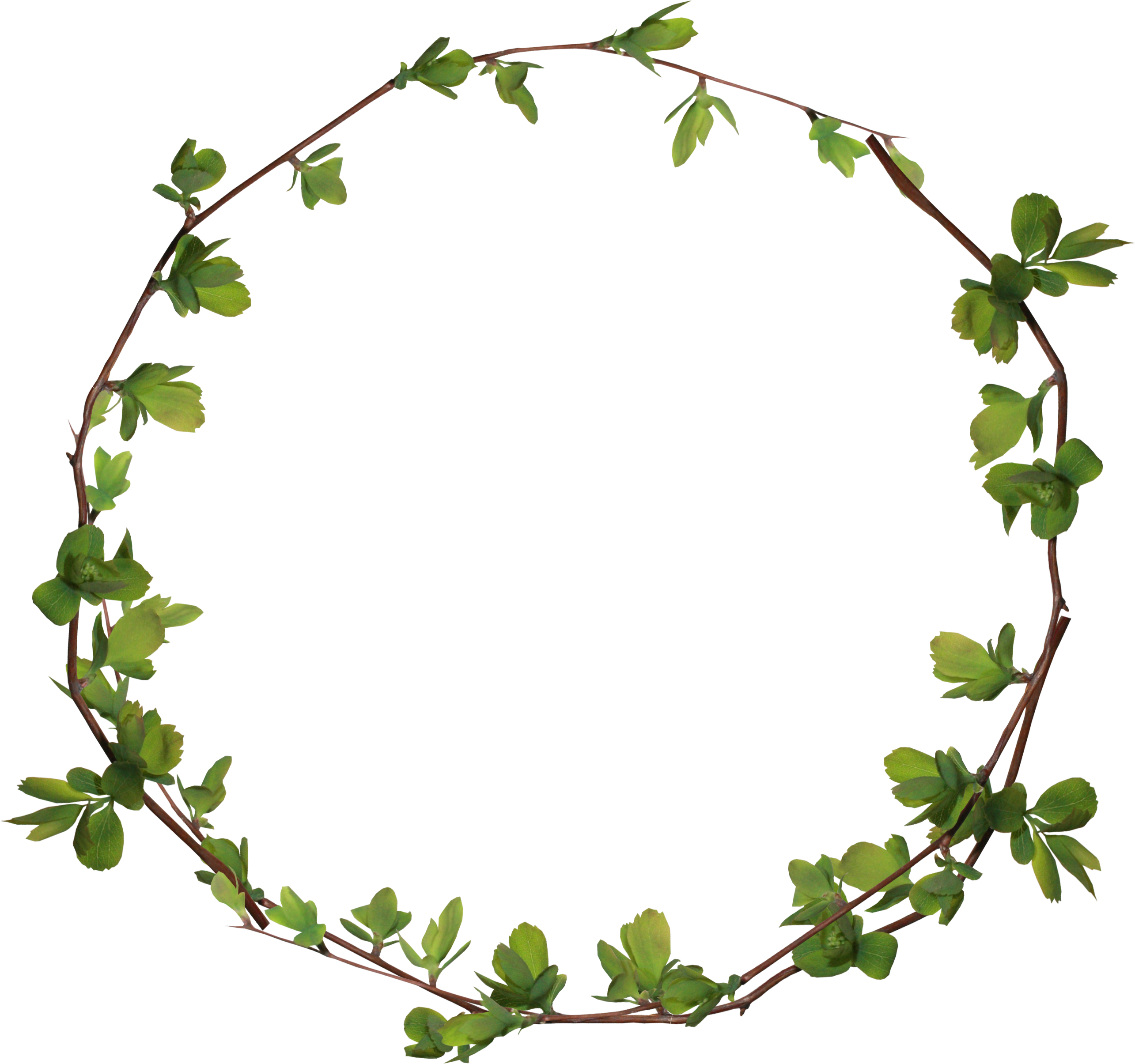 Circle Clip Art - Download (2570x2410)