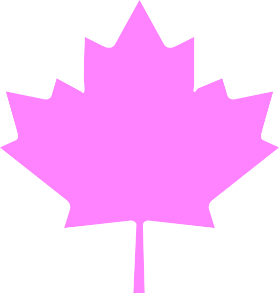 Leaf Clipart Pink Leaves - Canadian Maple Leaf (570x598)
