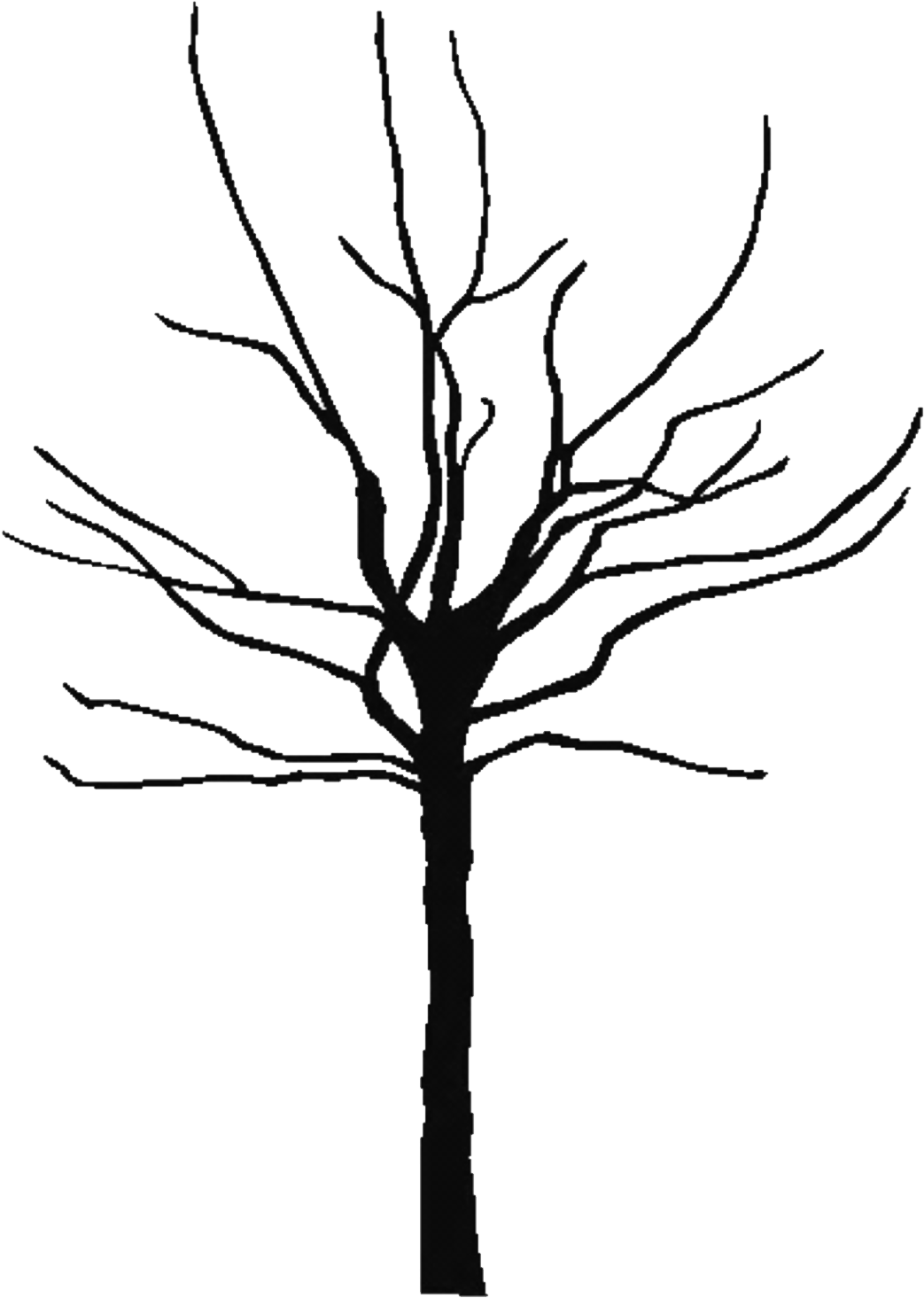 Black - And - White - Bare - Tree - Clipart - Bare Clipart Tree (1080x1488)