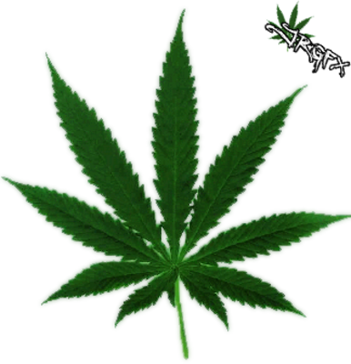 Marijuana Leaf Clip Art - Cannabis Leaf (386x400)