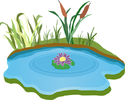 Pond Water Outdoor Grass Outdoors Foliage - Pond Clip Art Free (427x340)