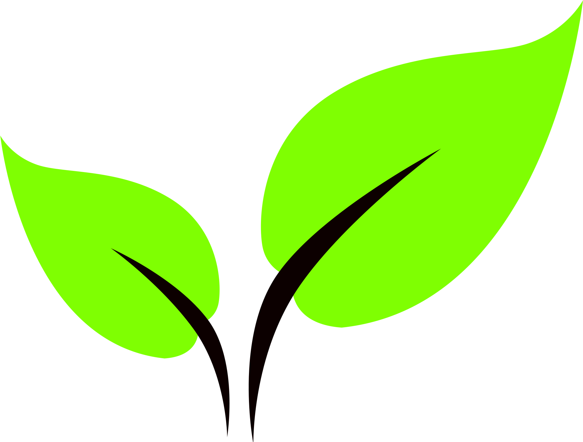 Leaf Icon - Leaf Icon Png (2000x1507)