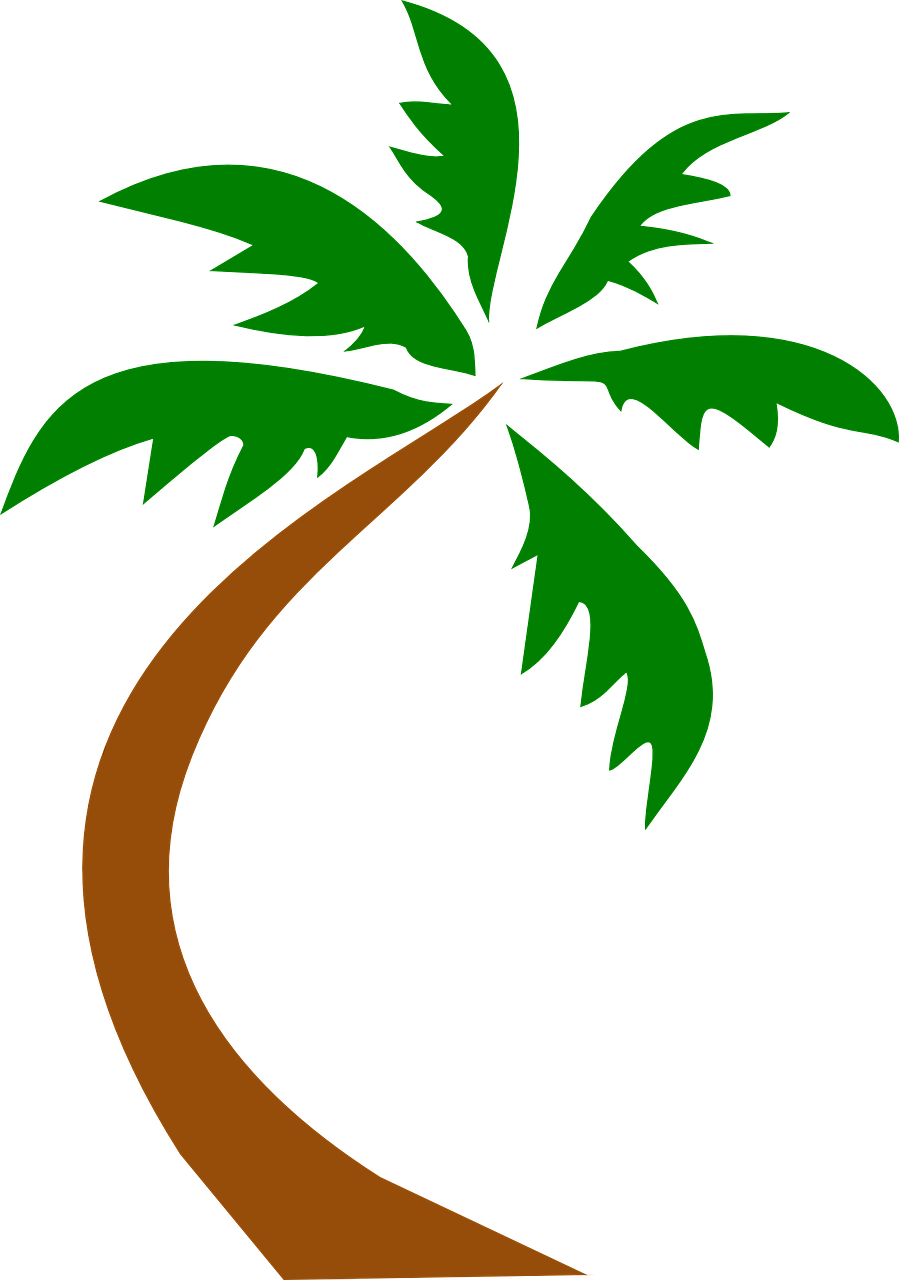 Coconut Palm Tree Curved Twisted Transparent Image - (sjt02515) Going To My Happy Place. Be Back Never (palm (899x1280)