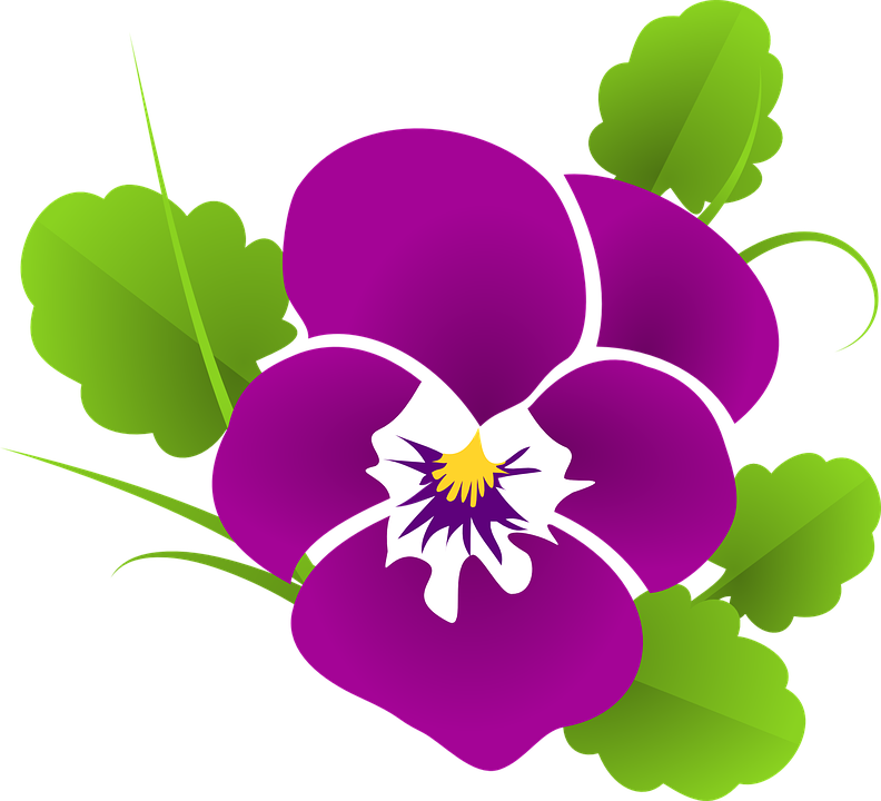 Violet Clipart Transparent - Violet Clip Art (792x720)