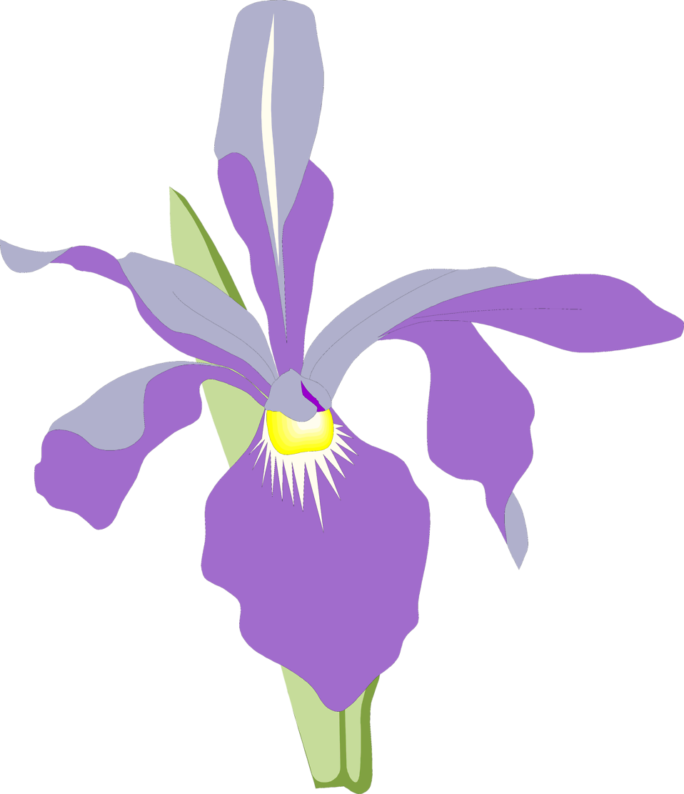Orchid Free Stock Photo Illustration Of A Purple Orchid - Purple Orchid Clipart (958x1111)