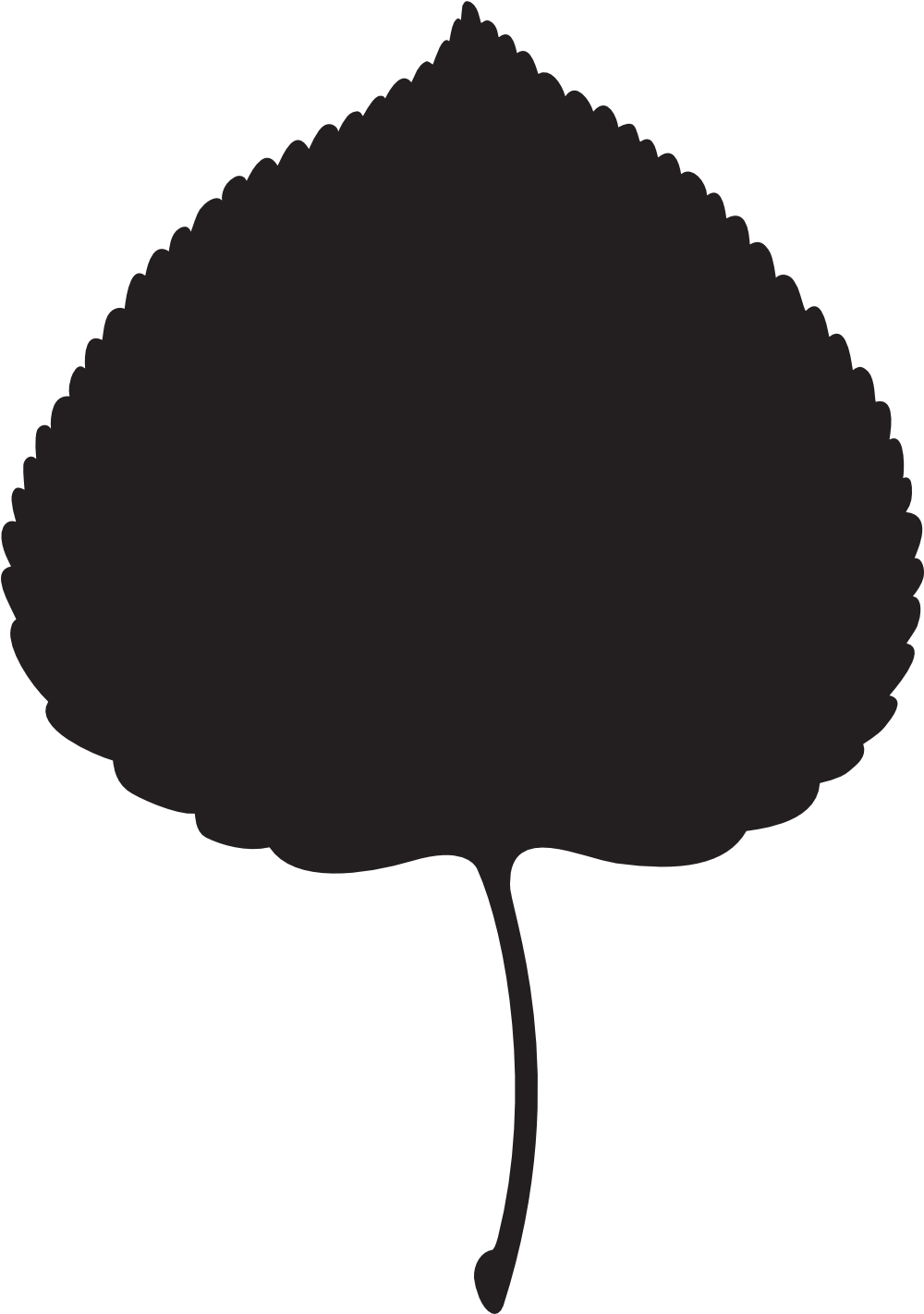 Logo Files For Download - Aspen Leaf Png (1000x1434)
