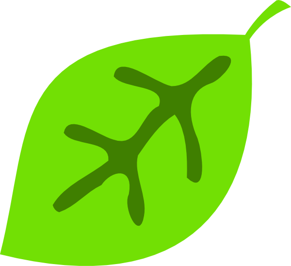 Leaf Clipart Cute - Cute Leaf Clipart Png (600x548)