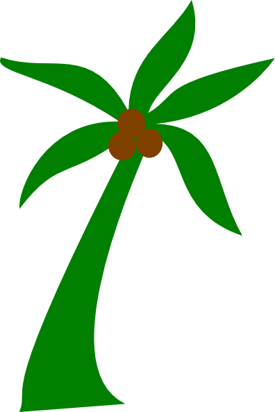 Palm Tree With Coconuts Clip Art - Munnar (396x593)