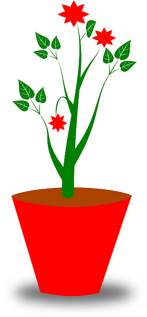 Decoration, Leaves, Plant, Pot, Red - Sometimes I Wet My Plants Sticker (320x640)