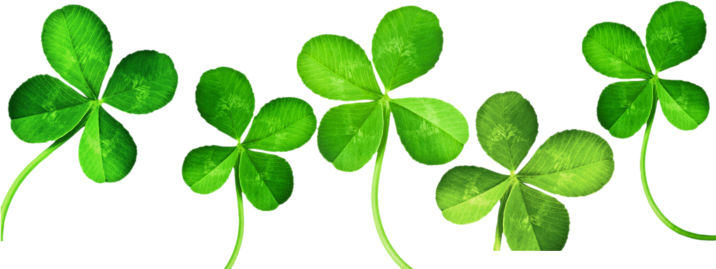 Four-leaf Clover Clip Art - 4 Leaf Clover Banner (1024x1024)