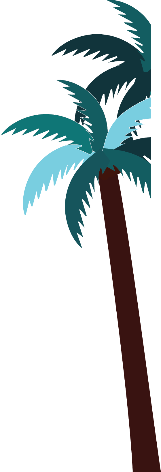 Live Dosa Keralan Street Food - Live Dosa Keralan Street Food (559x1637)