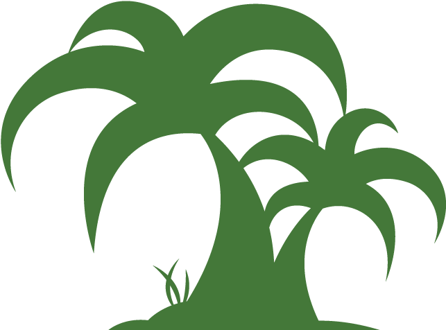 Home - Hanson Palms - Palm Trees (1074x635)