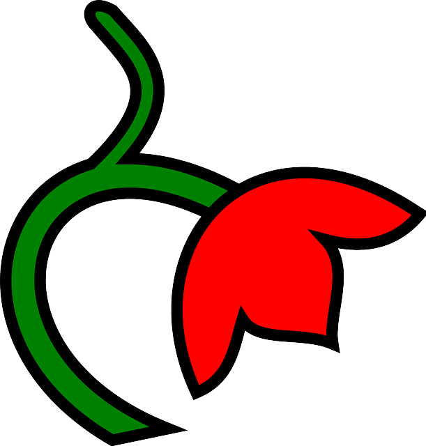 Red, Green, Leaf, Flower, Down, Color, Plant - Clip Art (611x640)