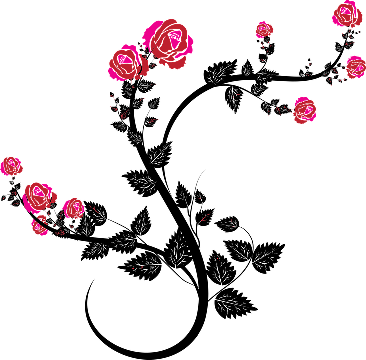 Cool Flower Vine Clipart With Flower Vine - Rose Vines (731x720)