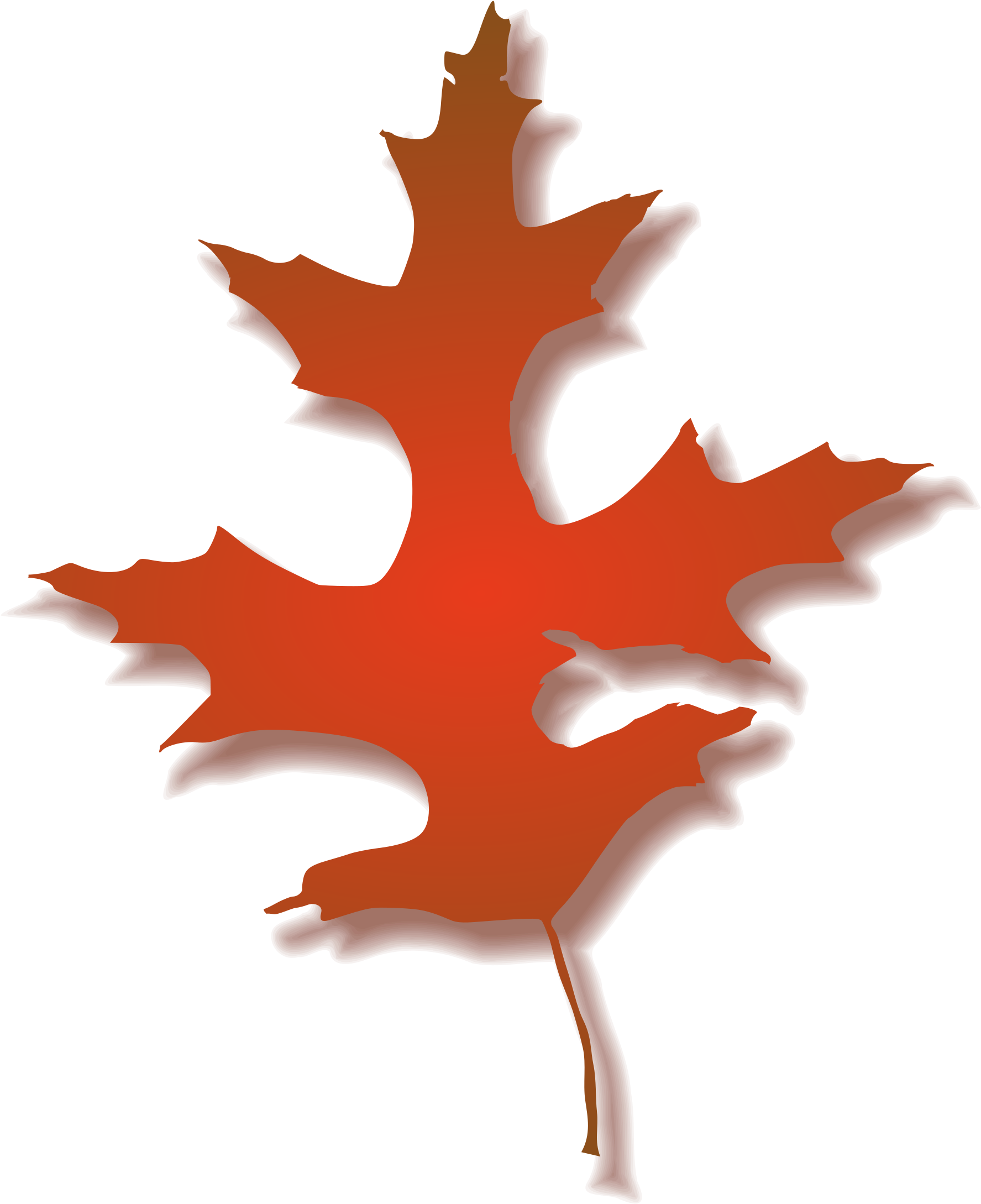 Big Image - Fall Oak Leaf Clipart (2119x2400)