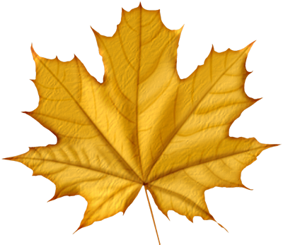 Maple Png Leaf - Feuilles D Automne Gif Animé (400x350)