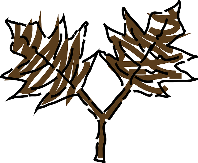 Brown, Green, Leaf, Tree, Plant, Leaves, Oak, Stem - Clip Art (640x527)