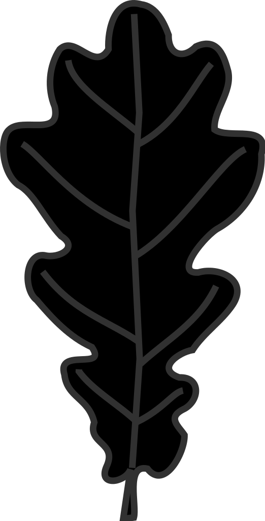 Héraldique Meuble Feuille De Chêne - Dessin Feuille De Chene (522x1024)