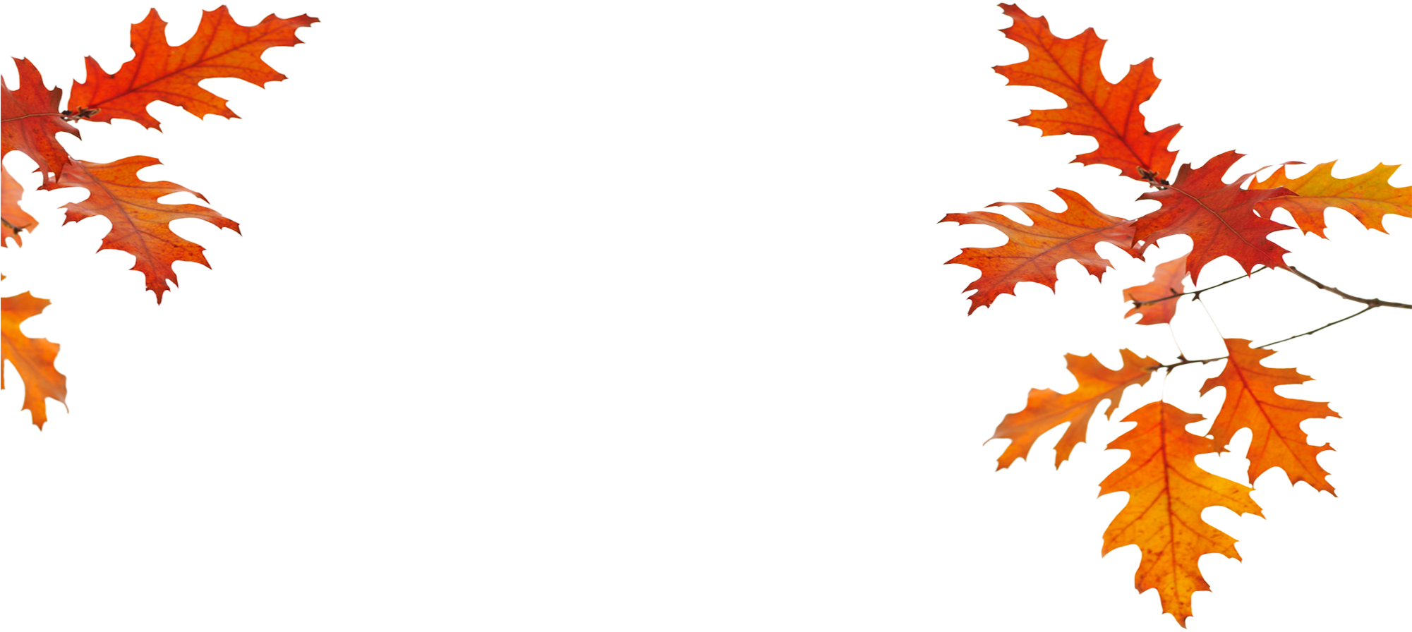 Poppies Hotel - Maple Leaf (2000x1250)