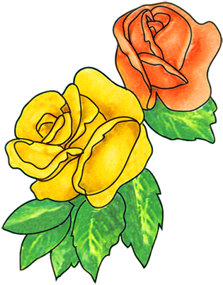 Flower Images Red Flower - Red And Yellow Roses Clipart (339x413)