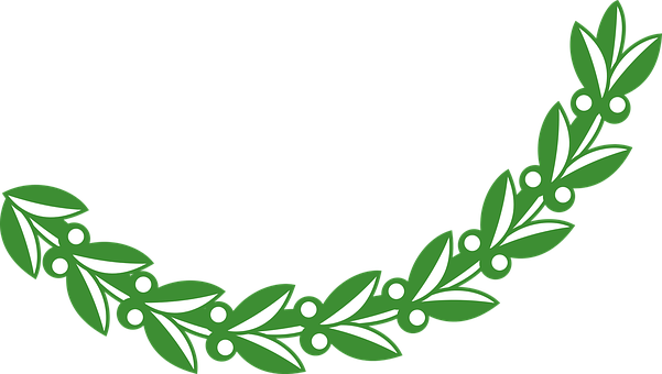 Branch Leaf Leafy Leaves Olive Plant Olive - Olive Branch Clipart (601x340)