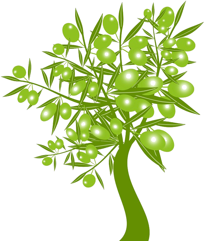 Olive Stock Photography Clip Art - Olive Stock Photography Clip Art (836x836)