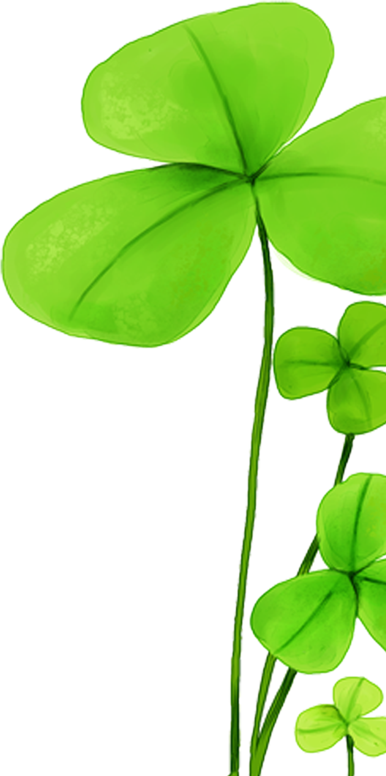 Clover Hd Clips 887*1732 Transprent Png Free Download - Clover Hd Clips 887*1732 Transprent Png Free Download (887x1732)