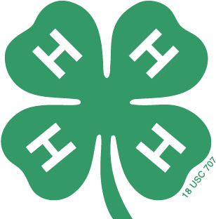 Everything You Need To Know For 4-h In Grafton County - Official 4 H Clover (360x361)