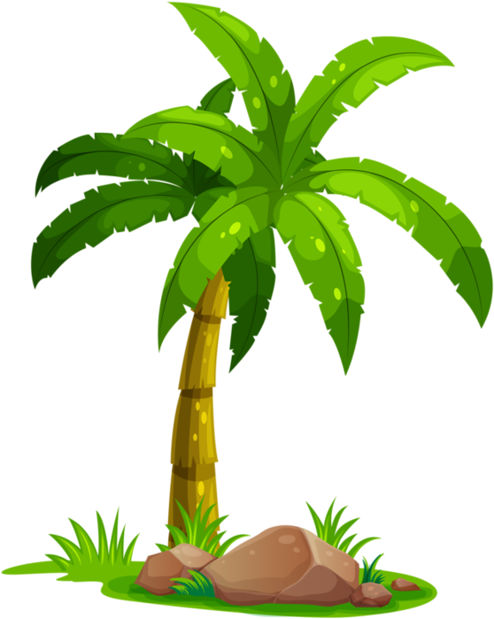 Arbre,png - Hinh Ve Cay Dua (600x701)