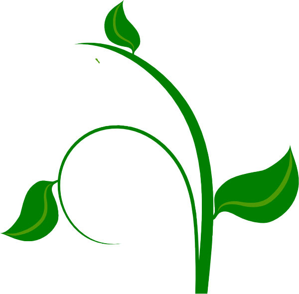 Green Leaf Vector Png (600x590)