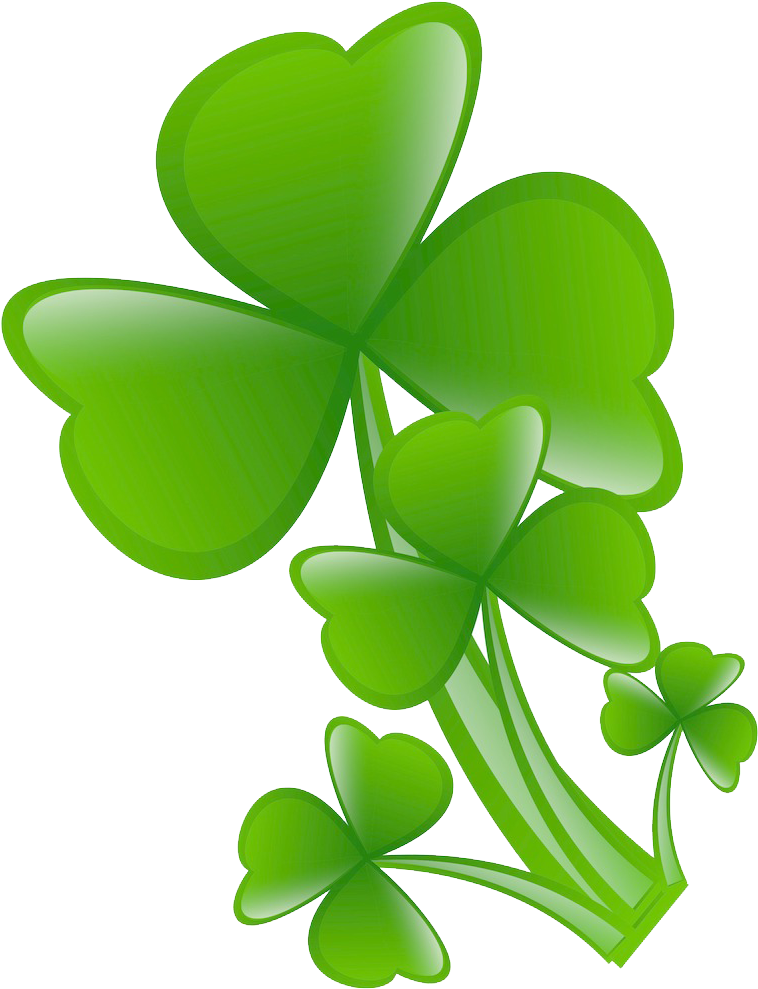 White Clover Four-leaf Clover - Clover - (1024x1097) Png Clipart Download