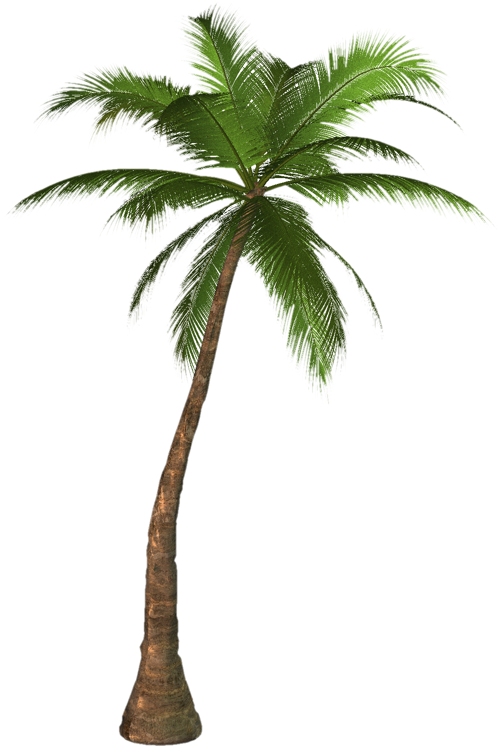 Free High Resolution Graphics And Clip Art - Palm Tree Png (400x599)