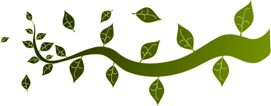 Tree Branch Clip Art - Rama Vector (900x354)