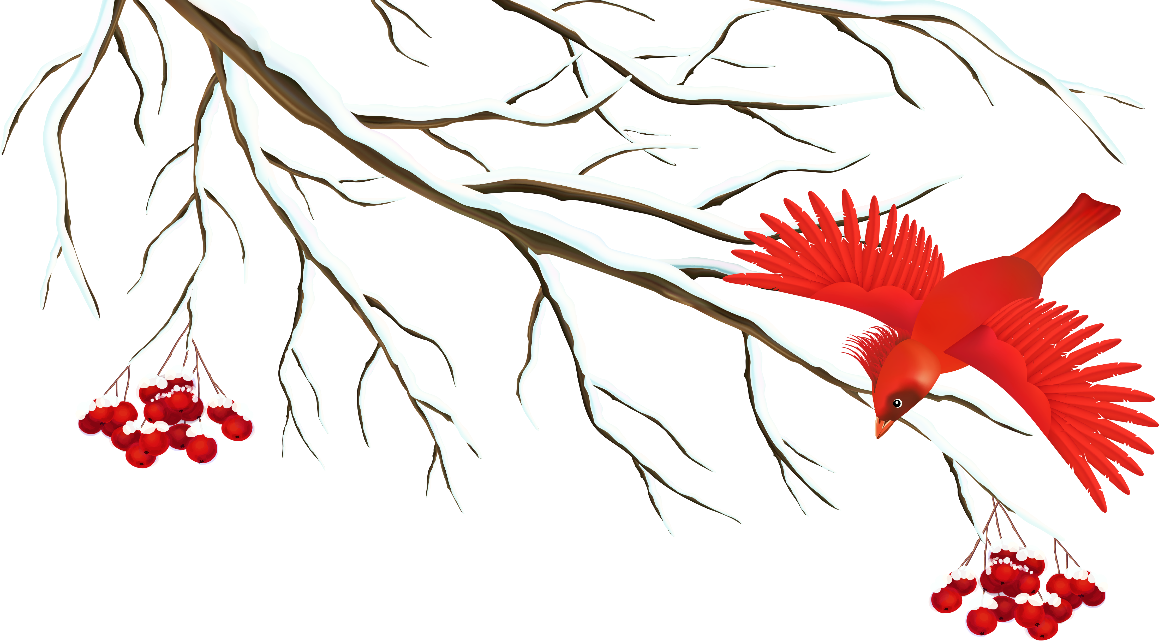 Winter Snowy Branch With Bird Png Clipart Image - Winter (5000x2710)
