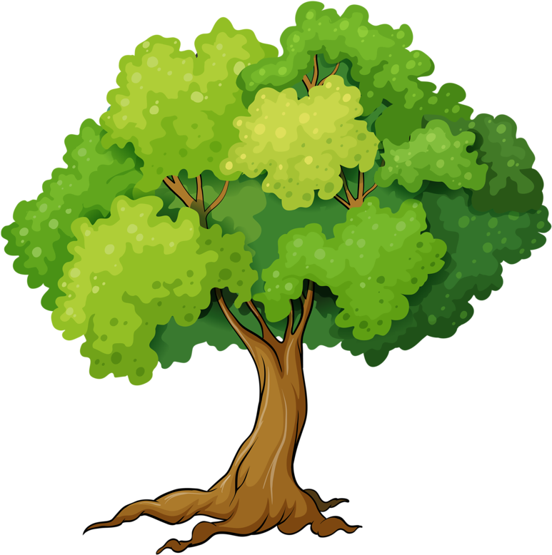 Яндекс - Фотки - Big Green Tree Cartoon (800x800)